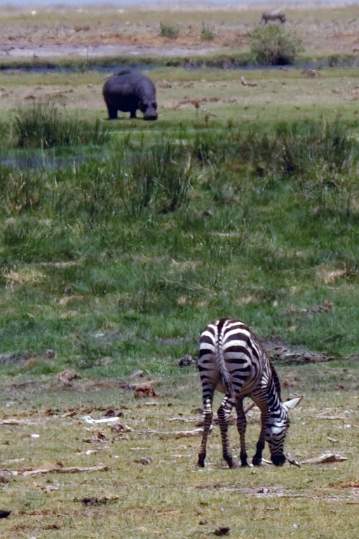 Kenia (211).jpg